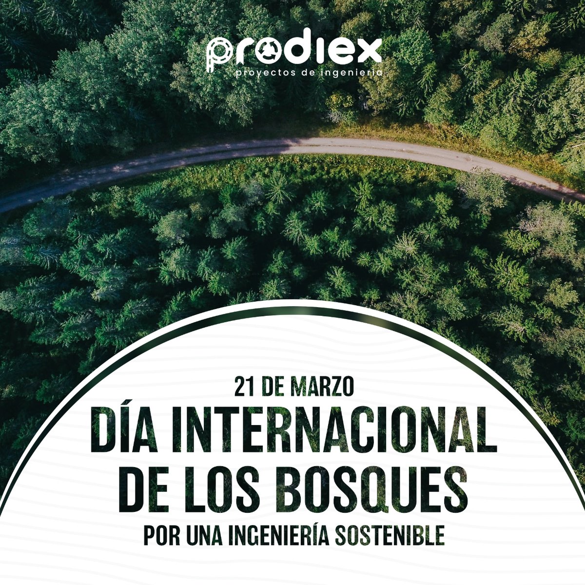 prodiex's tweet photo. En el Día Internacional de los Bosques, mostramos de nuevo nuestro compromiso con proyectos de ingeniería sostenibles y amigables con el medio ambiente.
#DíaDeLosBosques #Sostenibilidad https://t.co/CkzQGTOVF7