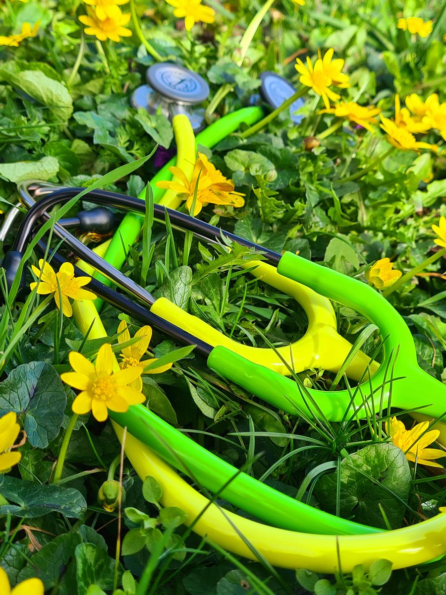 Spring is in the air!  Our Littmann Classic III colours match our garden today 😍 
#spring #fresh #stethoscopes