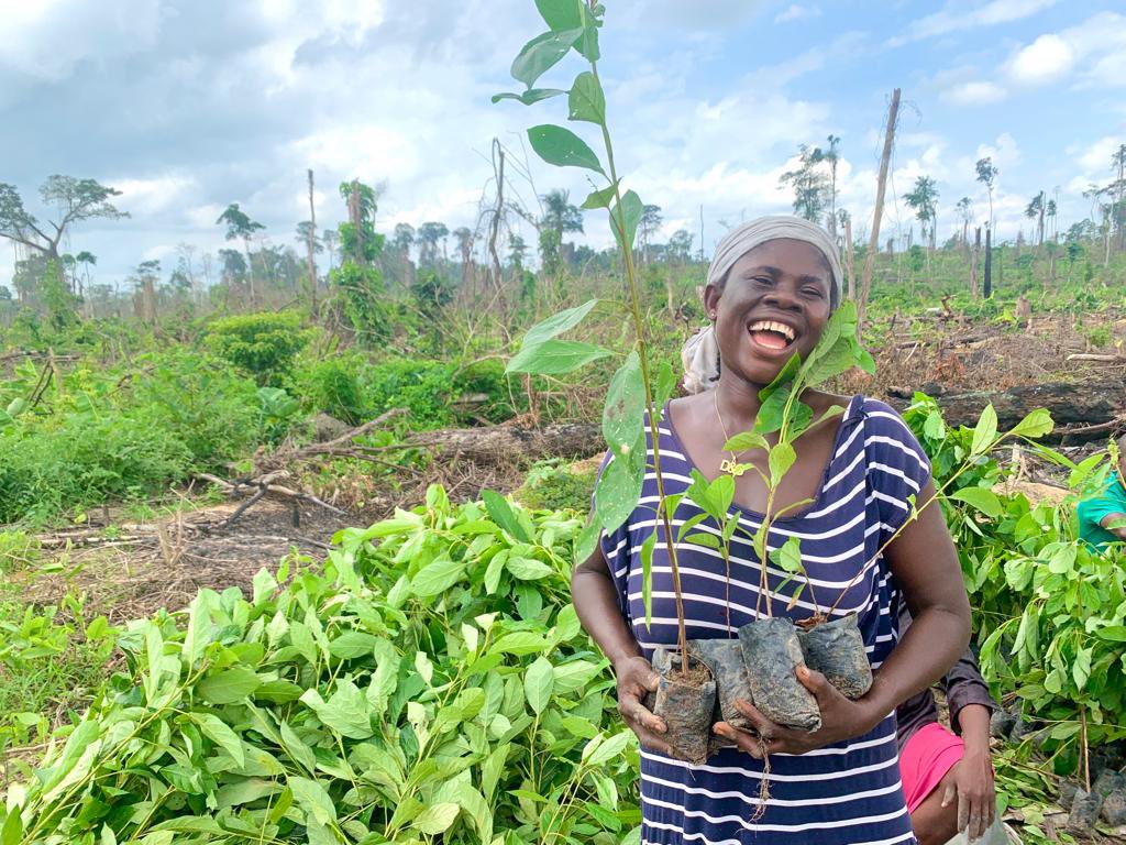 GoshenGlobal's tweet photo. Happy International Day of Forest is a fitting mantra for what is needed to solve the twin challenge of climate change and biodiversity loss. To have a healthy living and a safer environment, our forests must be protected. @restoreforward  @onetreeplanted @forestservice https://t.co/XEsHhUS0DA