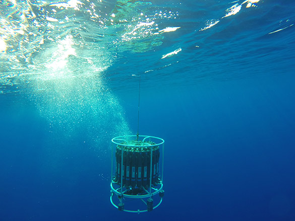 rodney_forster's tweet photo. PhD opportunities in marine science at Hull: 1) how will offshore wind development interact with pelagic ecology? https://t.co/9BM9dtGUns https://t.co/5svopBq2Zb