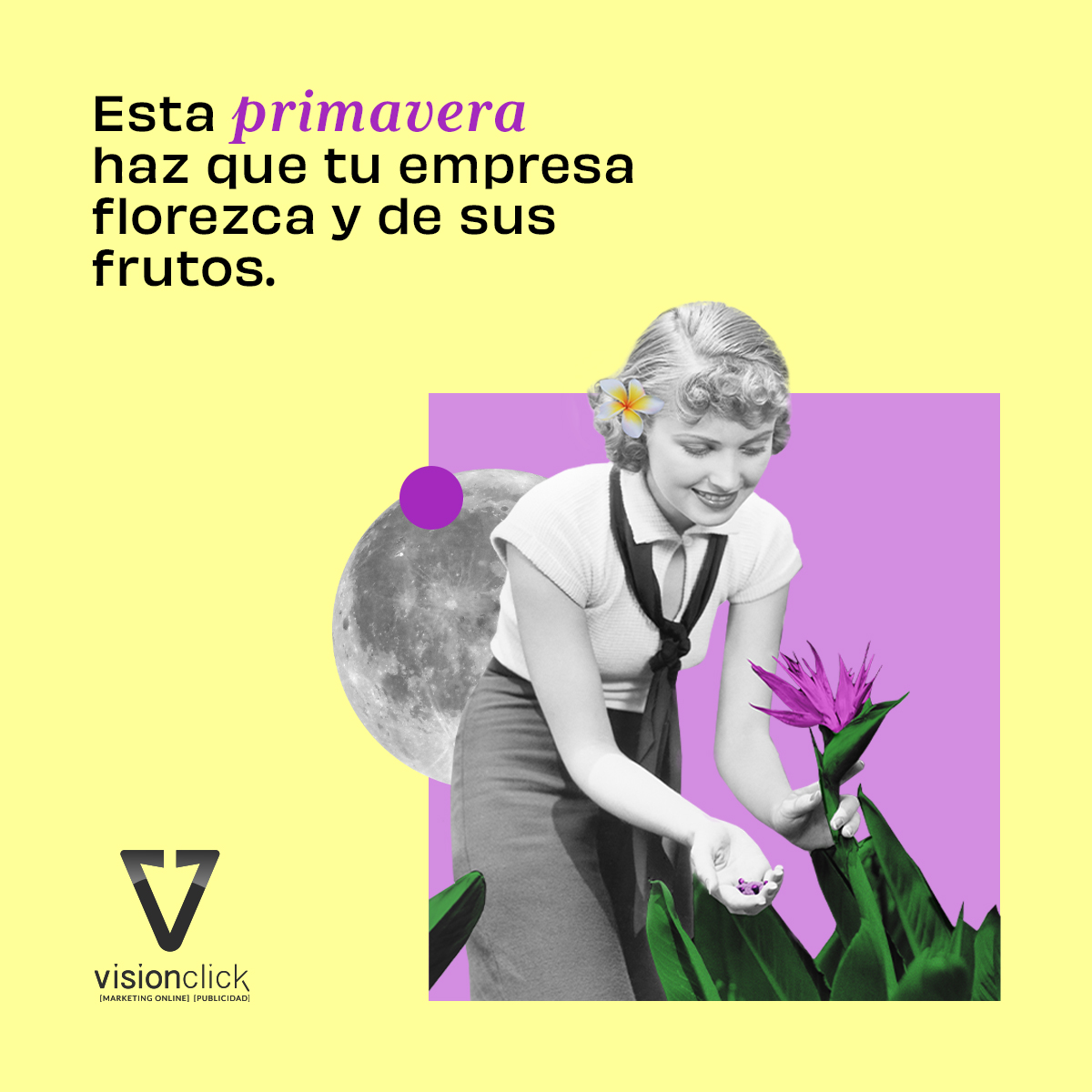 VisionClick tweet media