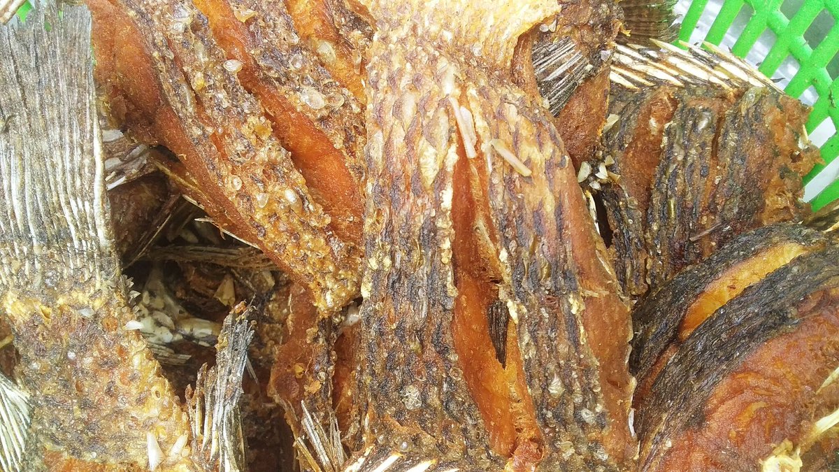 SamakiVillage's tweet image. Fresh fish delivered right to your doorstep? Yes please! 🐟🚚 Order now from Samaki Village and taste the difference in quality and flavor. #fishdelivery | Wewe | Maseno University | Muhoho Kenyatta | DJ Fatxo | Kg to Ksh | #MainaAndKingangi | Sakaja | #KwamboxAndObinna