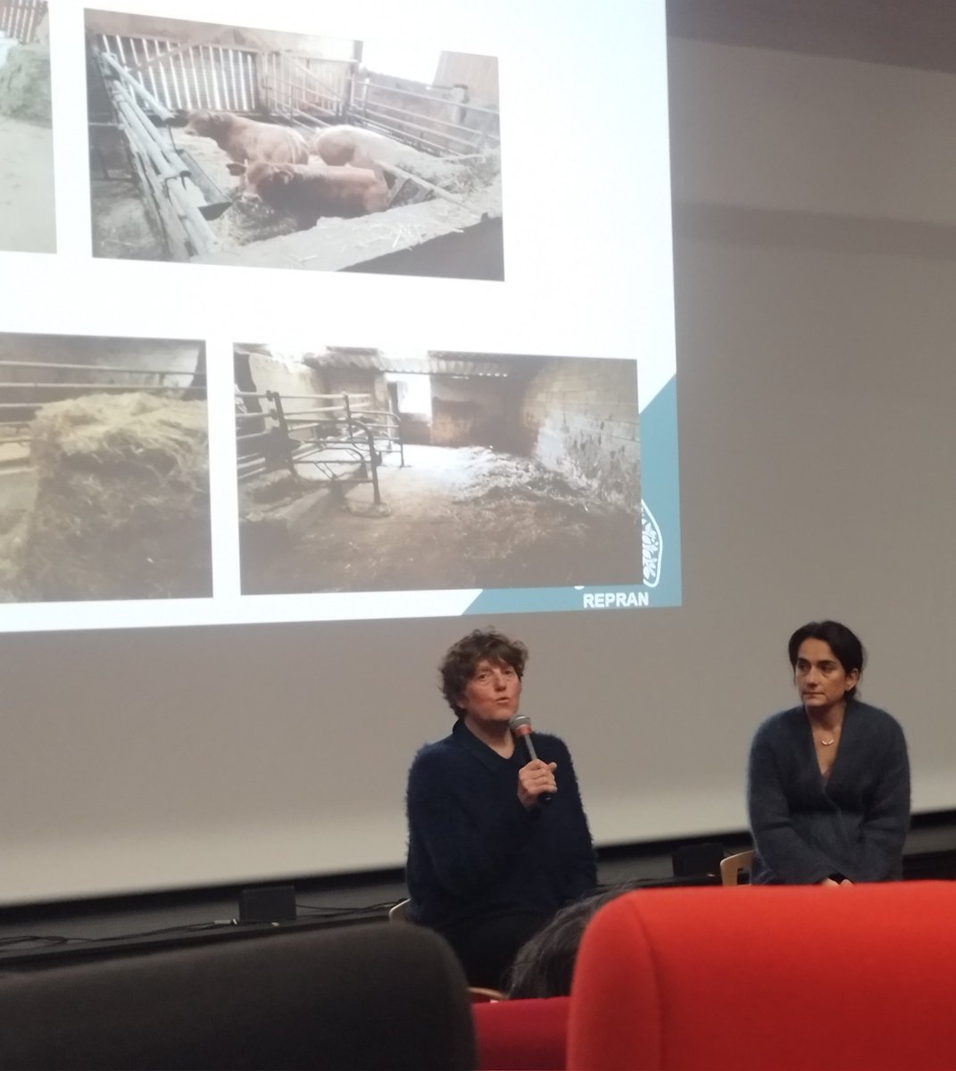 RAgricoles's tweet photo. 🔴 En direct de Saint-Palais (64)

👩‍🌾 Marie-Claire, éleveuse bovin, est atteinte de la maladie du Poumon de fermier. Elle raconte ses premiers symptômes, sa prise en charge médicale, et l'accompagnement socio-professionnel par @RAgricoles, la @msasudaquitaine et @capemploiLPB. https://t.co/yc9ahi3bSb