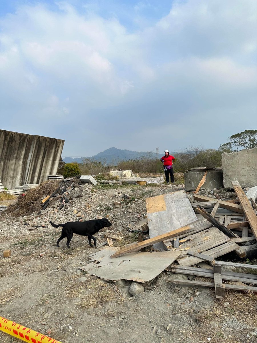 irodogs's tweet photo. 33 participants took their Rubble Search test in Taiwan under the watchful eyes of our judges Mirka Nečak 🇸🇮 and Kaori Oshima 🇯🇵. 21 teams passed the test.👏
THANK YOU to all involved – organisers, teams, helpers, and judges.💙
#IRODogs #SearchandRescue #RubbleSearch
📷 TSSRT https://t.co/LJLevUN1E1