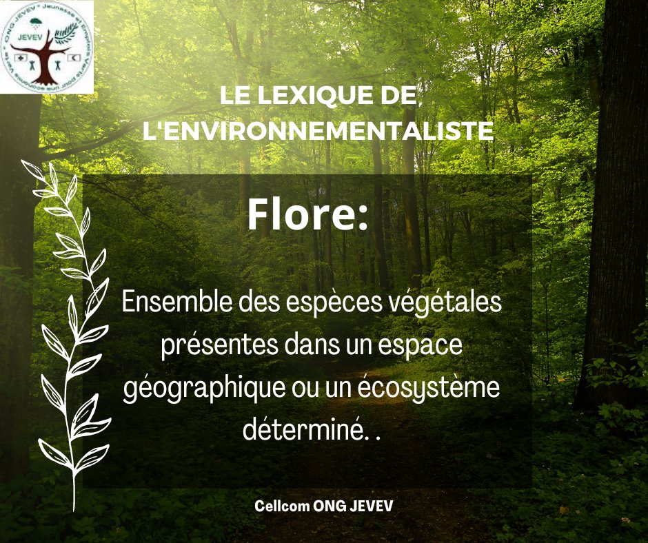 Chers amis !

Veuillez recevoir notre mot de la semaine dans la rubrique "Le lexique de l'environnementaliste".
N'hésitez pas à liker et à partager ! 

#JEVEV 
#environnement 
#environment 
#economiecirculaire 
#economieverte