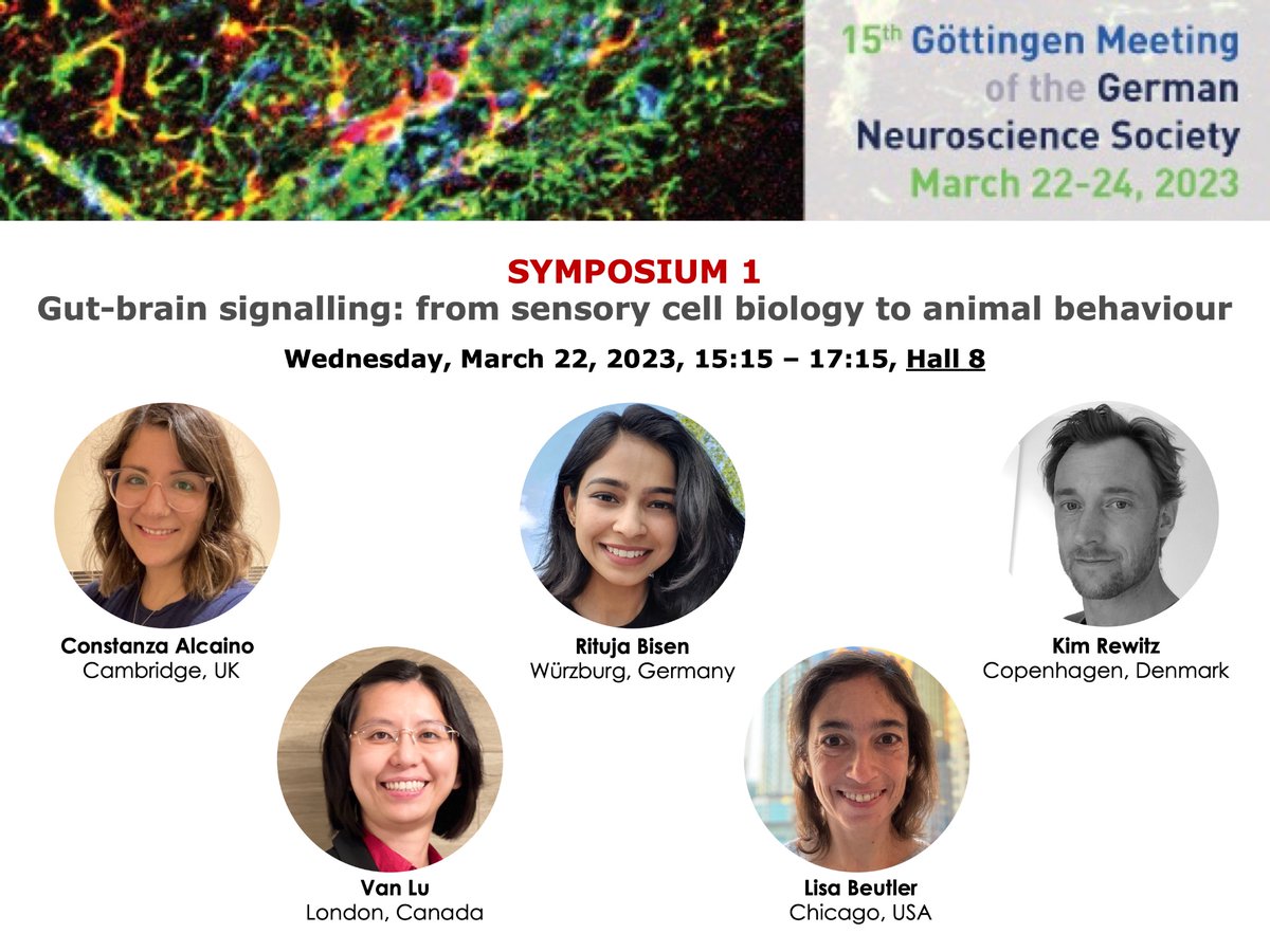 Interested in gut-brain signalling, enteroendocrine cells &amp; sensory cell biology? Then join our fantastic speakers @lbeutler7 , <a href="/rituja14/">Rituja Singh Bisen</a> , <a href="/VBLu_Lab/">Van Lu</a> , <a href="/ConiAlcaino/">Constanza Alcaino (she/her)</a> , &amp; <a href="/LabRewitz/">RewitzLab</a> at the <a href="/NeuroforumNWG/">German Neuroscience Society - NWG</a> symposium no. 1️⃣ tomorrow.

nwg-goettingen.de/2023/upload/fi…