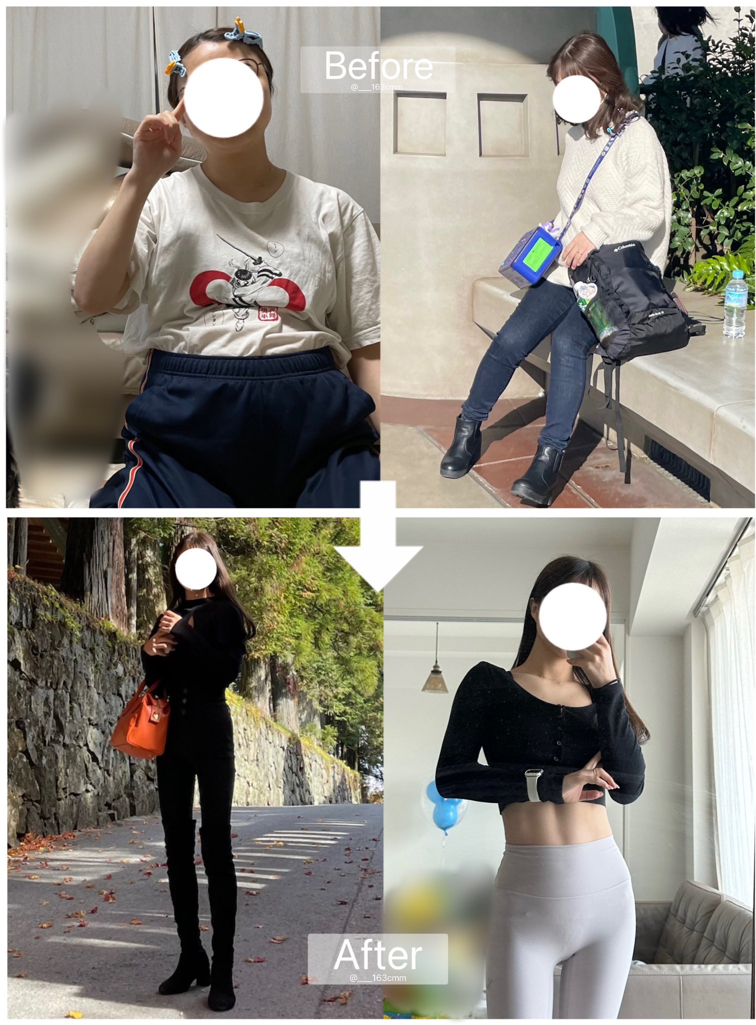 年中ダイエット肥満体型 様 日本ヒルズ サイエンス・ダイエット シニアライト小粒肥満傾向の
