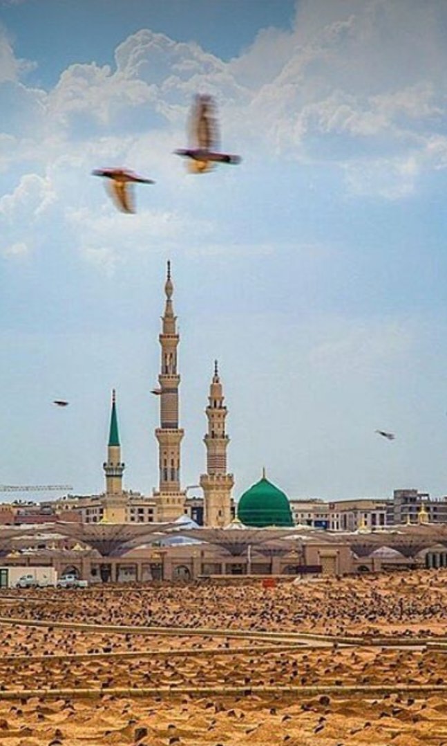 VHy3wTSBgVlGxuZ's tweet photo. اللهم إطعم إبى
 من خيرات جنتك 
كما اطعمنا من خيرات دنيتك وجميع إباء وأمهات المسلمين 
وصل اللهم وسلم وزد وبارك على سيدنا محمد وعلى آله وصحبه واتباعه اجمعين 🕊🕋🇸🇦 https://t.co/ZZY6qhni2Q