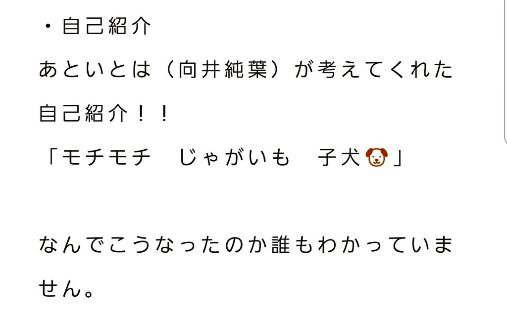 偉大な 櫻坂46三期生 小島凪紗 コンナギ ブックレット ちゅう サイン入