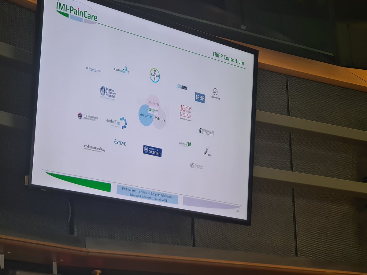 Katy Vincent presenting on behalf of TRiPP consortium at the European Parliament today. Highlighting the need for continued #painresearch in #chronicpelvicpain and how valuable IMI-PainCare has been.