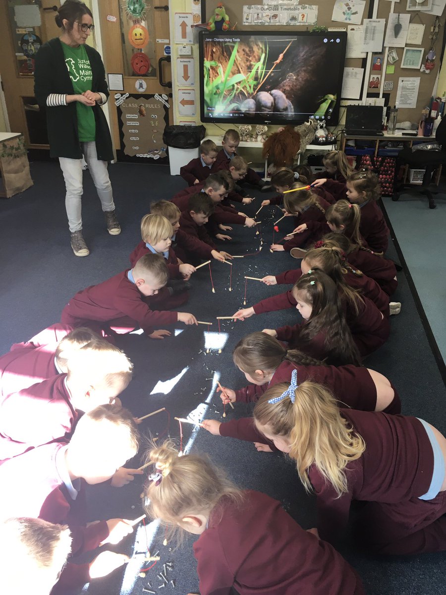 MrsPBHPS's tweet photo. A huge thank you to Suzie from @sizeofwales for an amazing #receptionbhps Rainforest workshop last week. We loved learning about rainforest animals and searching through elephant poo for seeds @BeaufortHillPri #ethicalinformedcitizens https://t.co/0QOSwpZlCX
