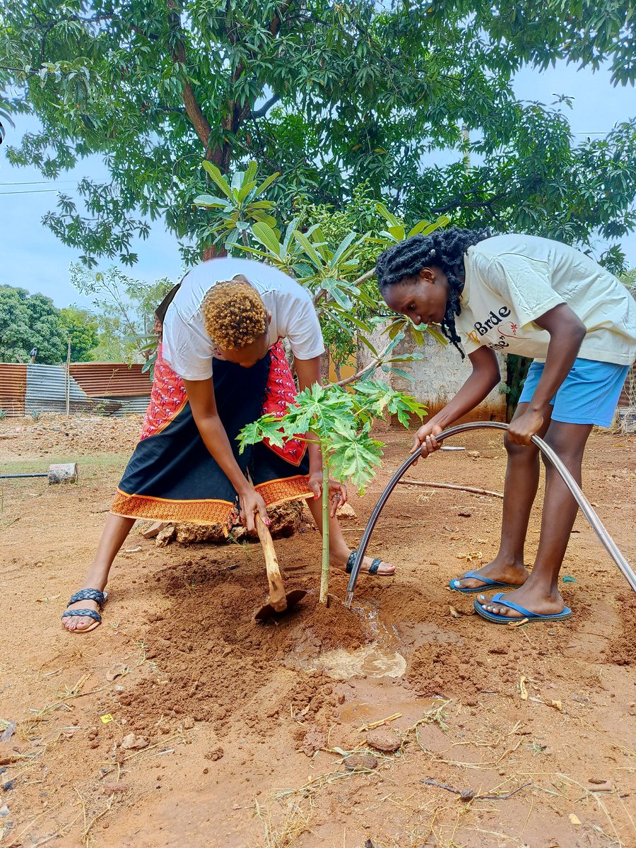 Miji9princess's tweet photo. Forests provide our health needs,clean the air, purify water and capture carbon to fight climate change. How many trees have you planted today?
#forestsandhealth
#internationaldayofforests 
@BojoCharity @katuyu_1 @KCCGP_ @UNEP @onetreeplanted @BandaRoberts @JoanMagoma https://t.co/oPqjdyhd1E