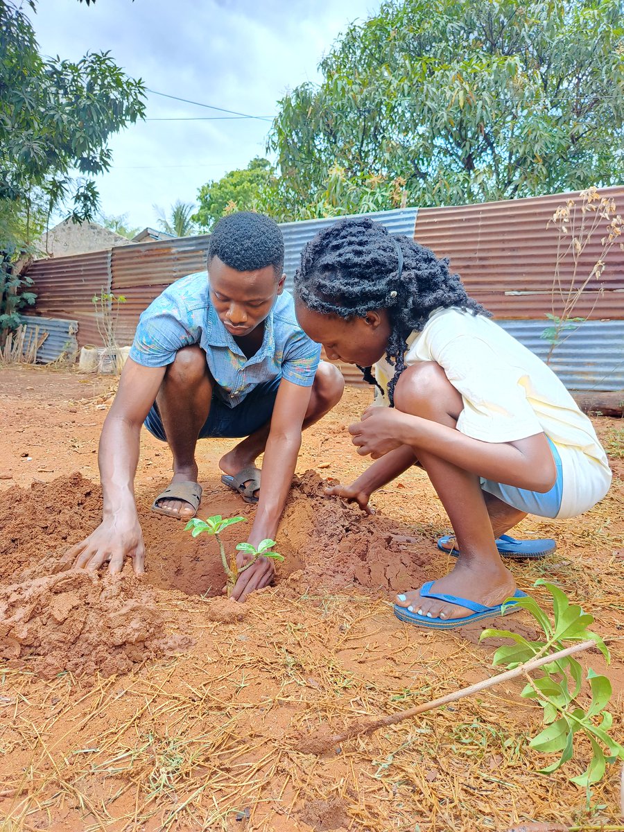 Miji9princess's tweet photo. Forests provide our health needs,clean the air, purify water and capture carbon to fight climate change. How many trees have you planted today?
#forestsandhealth
#internationaldayofforests 
@BojoCharity @katuyu_1 @KCCGP_ @UNEP @onetreeplanted @BandaRoberts @JoanMagoma https://t.co/oPqjdyhd1E
