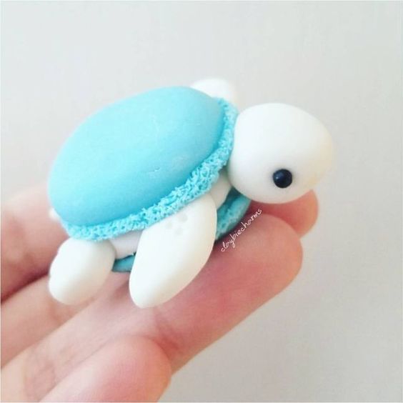 _LoveCuteThings's tweet photo. cute🐢macaron https://t.co/bEwrCNeZnJ