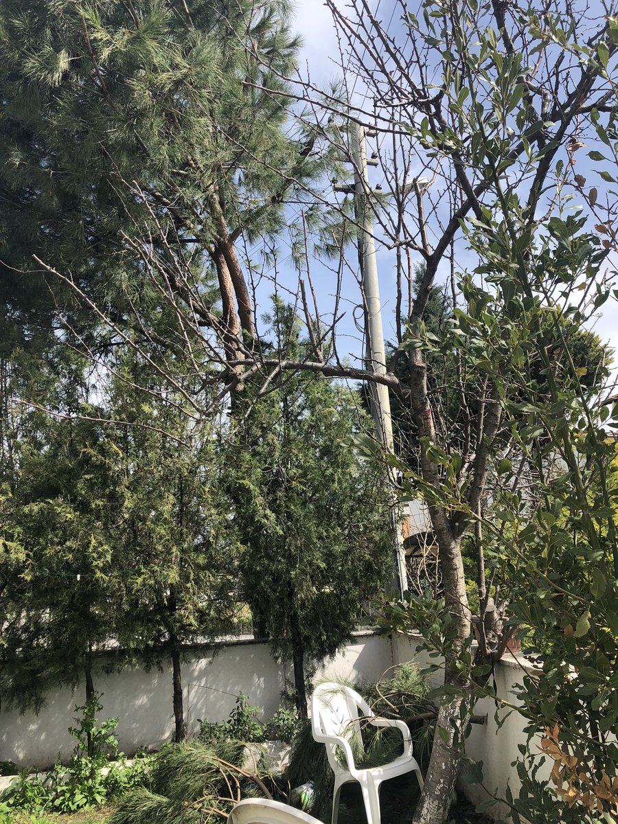dfnbrn's tweet photo. bu ‘kurum’ @TEDASKurumsal bana düşman sanırım
anlamadım ağaçlarla dertlerini 
hadi kestin çöpünü niye bıraktın @TEDASKurumsal https://t.co/owJdjWMzCf