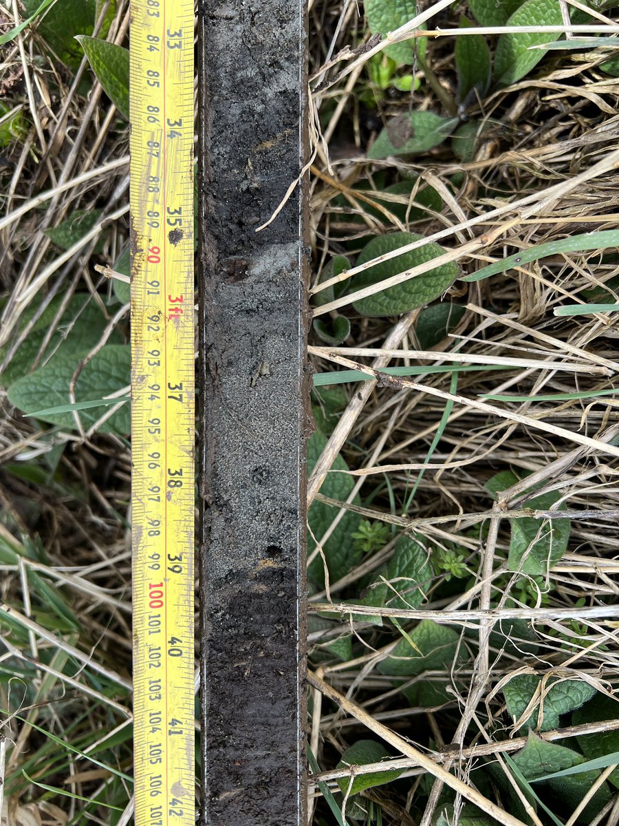 Coring around the Montrose Basin with <a href="/AidanWrethman/">Aidan</a> tsunamis are us ! wonderful pebble in the tsunami <a href="/Geog_UoD/">Geography & Environment | University of Dundee</a> <a href="/DundeeWater/">UNESCO Centre for Water Law, Policy and Science</a> <a href="/ISSRDundee/">ISSR | DundeeUni</a> #phdlife