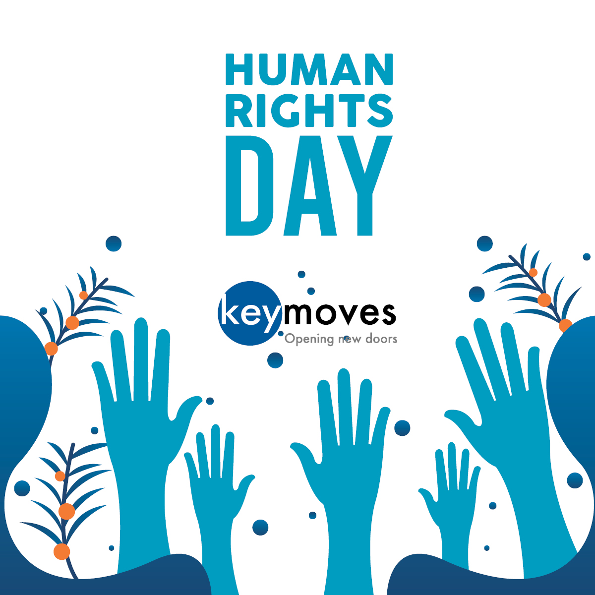 Key Moves tweet media