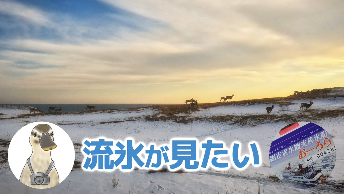 みてね🦆

【鳥鉄】カモオタクで鉄道オタクがちょっと流氷見に行った結果-ぐるり北海道旅(超ダイジェスト)【JR北海道絶景車窓】
youtu.be/GA35AVLE9cc

🦢