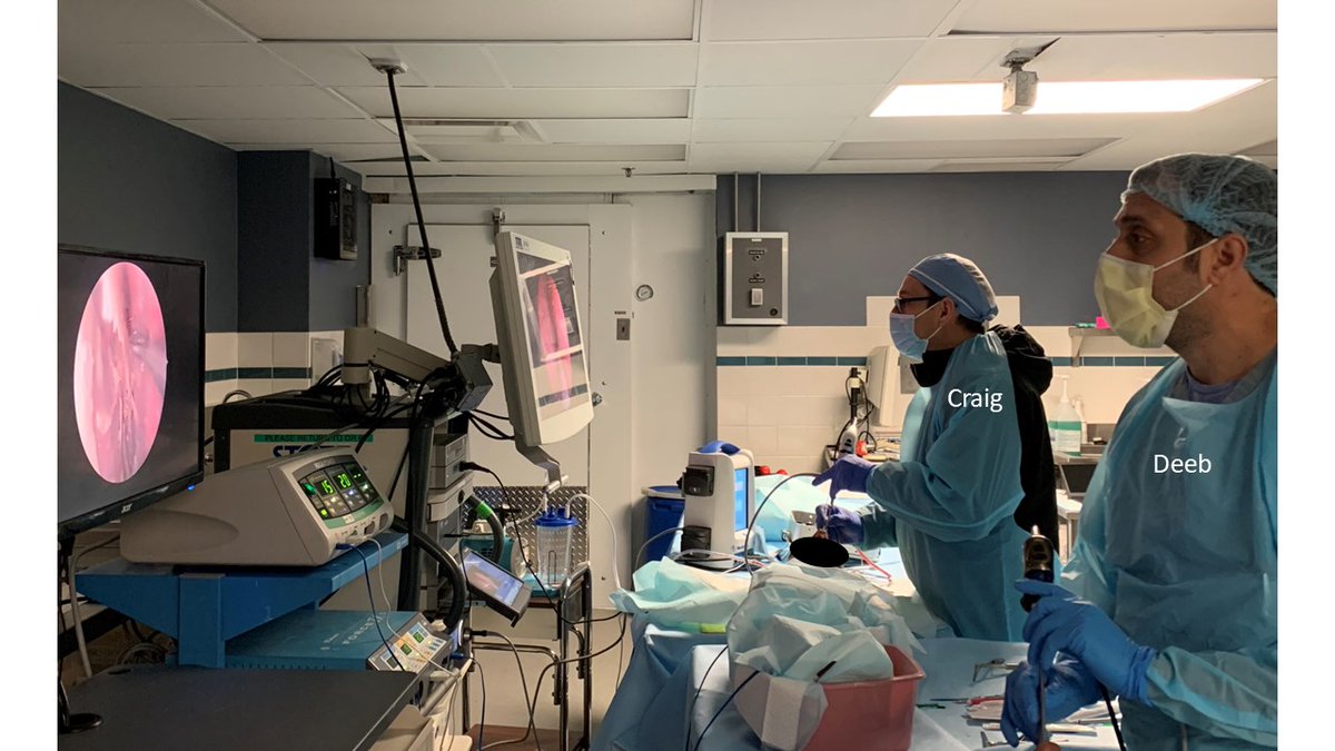 JohnCraigNose's tweet photo. We needed a mental health day, so to cadaver lab we went yesterday for a long-awaited project. Will show some results at next #HFSNS Sinus and Nasal Symposium on Aug 25. More promo to come! Yes it was about 37F/2C in there (hence coat)! @henryfordent #medtwitter https://t.co/d8PpbY0HYo