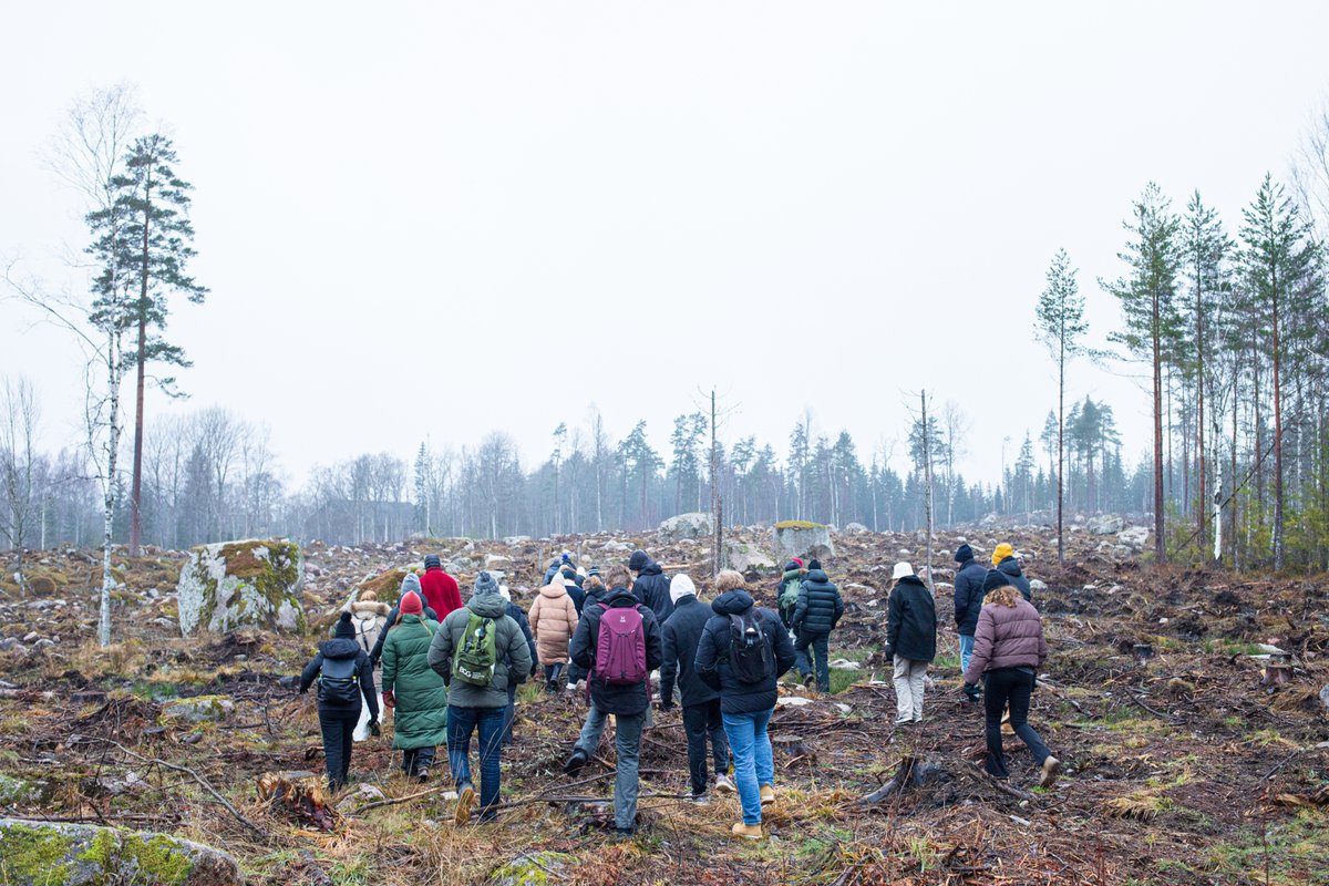 liu_universitet's tweet photo. Internationella skogsdagen! 🌳 Det firar vi med att uppmärksamma den uppskattade kursen Ekologi och miljö, som är en del av #Civilingenjör industriell ekonomi. Under kursen får studenterna besöka flera skogar. https://t.co/8zfU77lYpY #forskning #studera #plugga https://t.co/6XOq6Ms67k