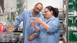 MEHarring's tweet photo. We are searching for an Instructor in Neuroscience! Do you love teaching? Are you passionate about sharing your broad knowledge and laboratory skills with undergraduates? https://t.co/4kubajDVHU Please help us with a retweet! https://t.co/XcJTYd3hV6