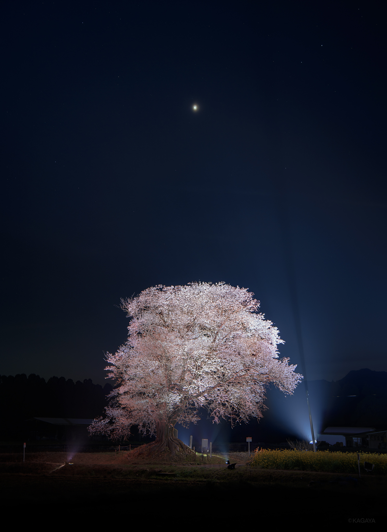 ISIS FAERIE: Balance 金星と火星、夜と昼、上と下の通販 by