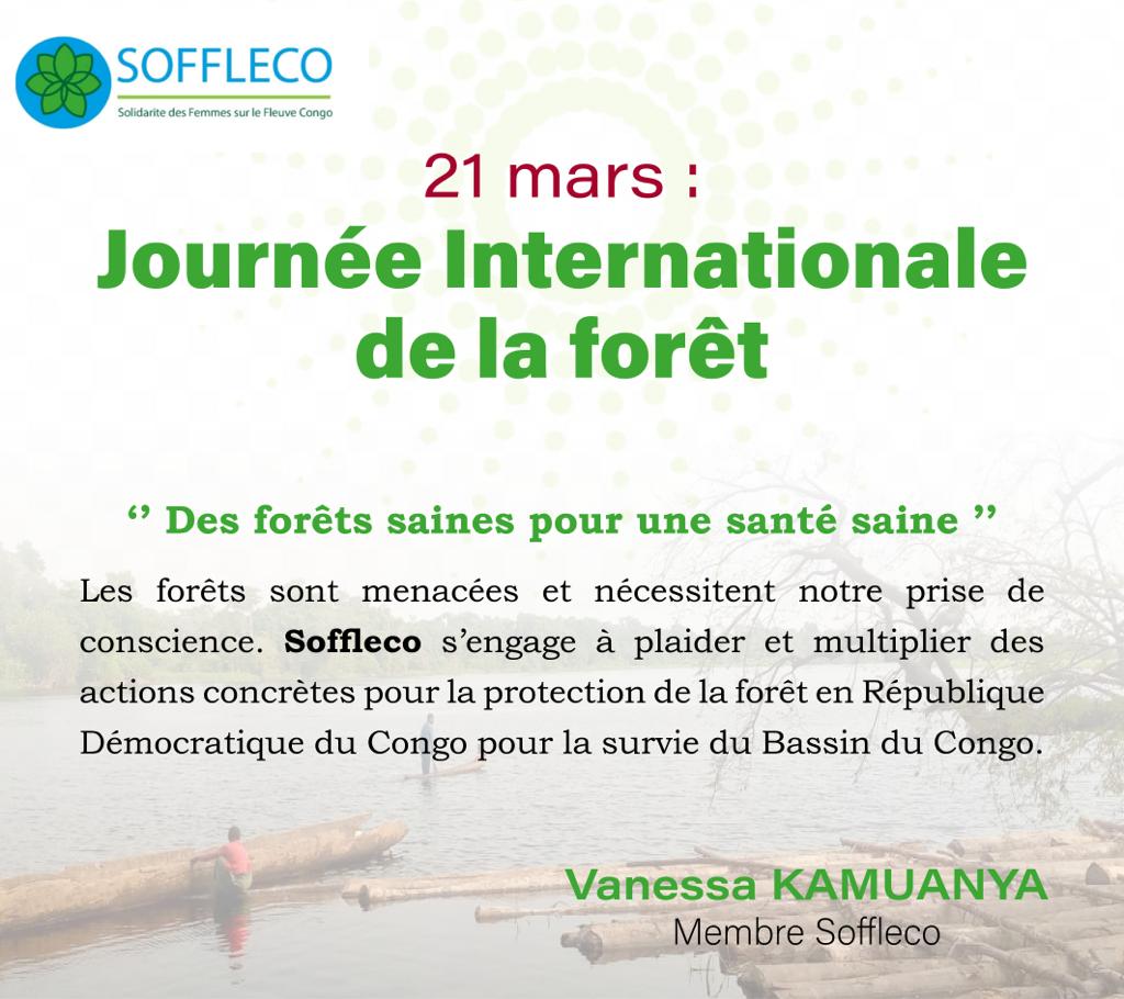 SOFFLECO tweet media