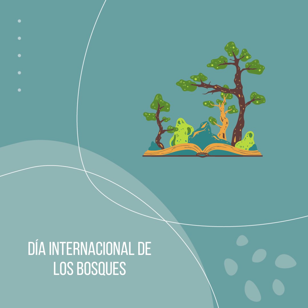 ¡Hoy celebramos el Día Internacional de los Bosques! 🌳💚 Este día se celebra cada 21 de marzo para concientizar sobre la importancia de los bosques en nuestra vida y en el planeta.

 #DiaInternacionalDeLosBosques #MedioAmbiente #CuidadoDelPlaneta #Sostenibilidad