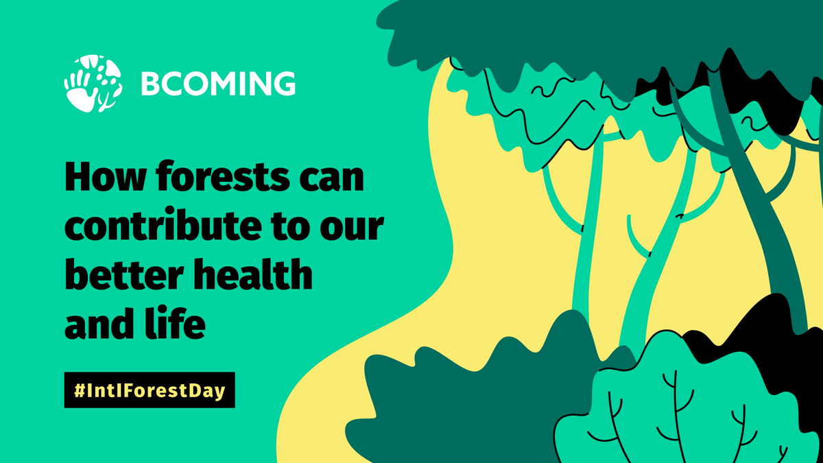 BcomingEU's tweet photo. Today is a special day! On #ForestDay 💚 let's remember the importance of our #forests for our #health & #lifestyle
Forests regulate our #climate, are the "home" of plants/ animals & protect us from #diseases.
More? Read our🆕blog post: https://t.co/cGW7bj3zn0
#IntIForestDay https://t.co/erCOlSPvxX