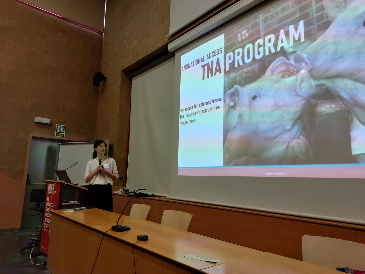 PIGWEB_H2020's tweet photo. 😍The #PIGWEB Annual General Meeting is just starting!
Great to see partners come together at @irtacat Monells to discuss sustainable #pigproduction.
🗣️Looking forward to insightful conversations and collaborations during the upcoming days!
🐷🐷🐷 https://t.co/If5yCxNq98