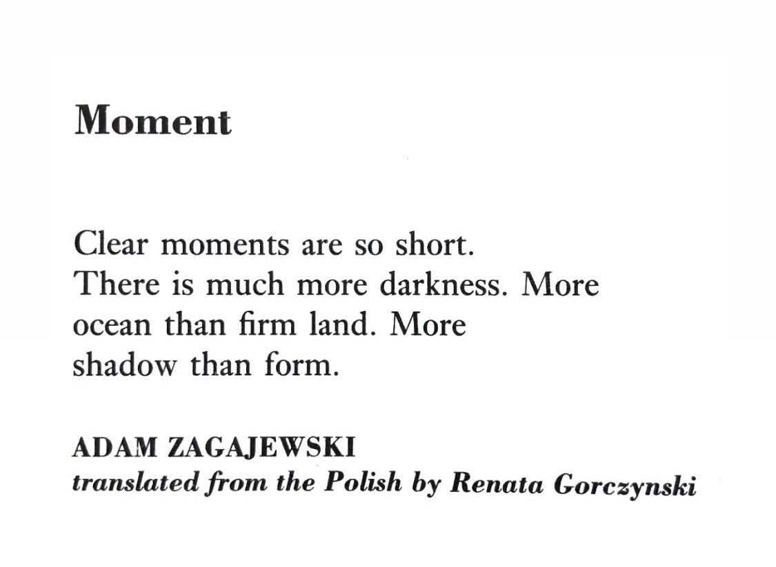MayaCPopa's tweet photo. “Clear moments are so short.” https://t.co/ayBUG0r8dh
