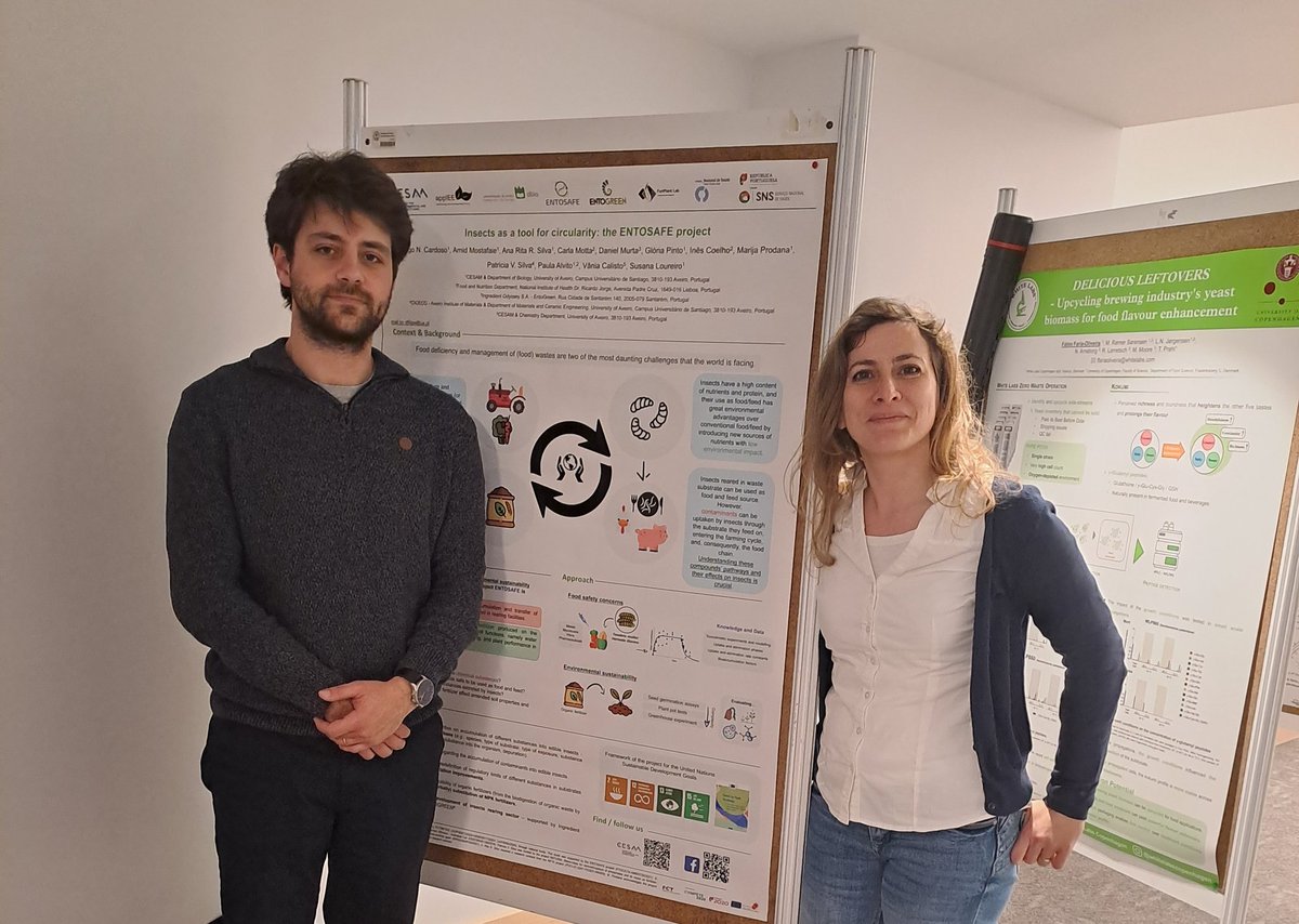 DFN_Cardoso's tweet photo. Insects as a tool for circularity : the ENTOSAFE Project!

Dare2Change congress in Porto.

Safety and sustainability of using insects as powerfull and valuable bioconverters.

#sustainability #circularity

@SLoureiro_UAVR @BryanWBrooks @UnivAveiro
@CESAM_Univ @applEE_dbioUA https://t.co/s5Dt65iNzi
