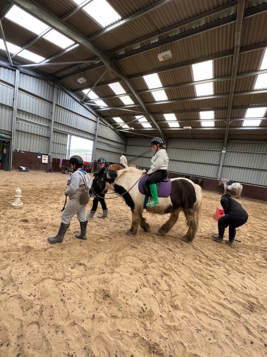 gladstonebarry's tweet photo. Horse riding, trampolining and high ropes @Urdd #FunFilledDay #TeamYear6 https://t.co/wN4AAPmaWV