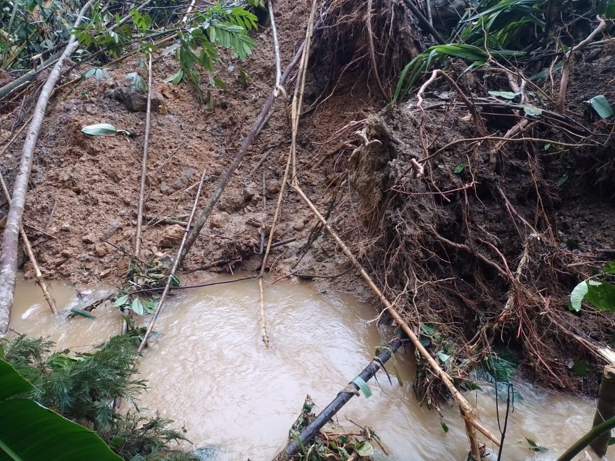En alerta creciente , represamiento y derrumbes en la.Vereda el Águila Santander de Quilichao Cauca, atentos gestión del Riesgo , la quebrada el Águila es afluente del Río Paez y el Río Quinamayo de allí se surte agua para el acueducto Veredal de Dominguillo y otras veredas Afro.