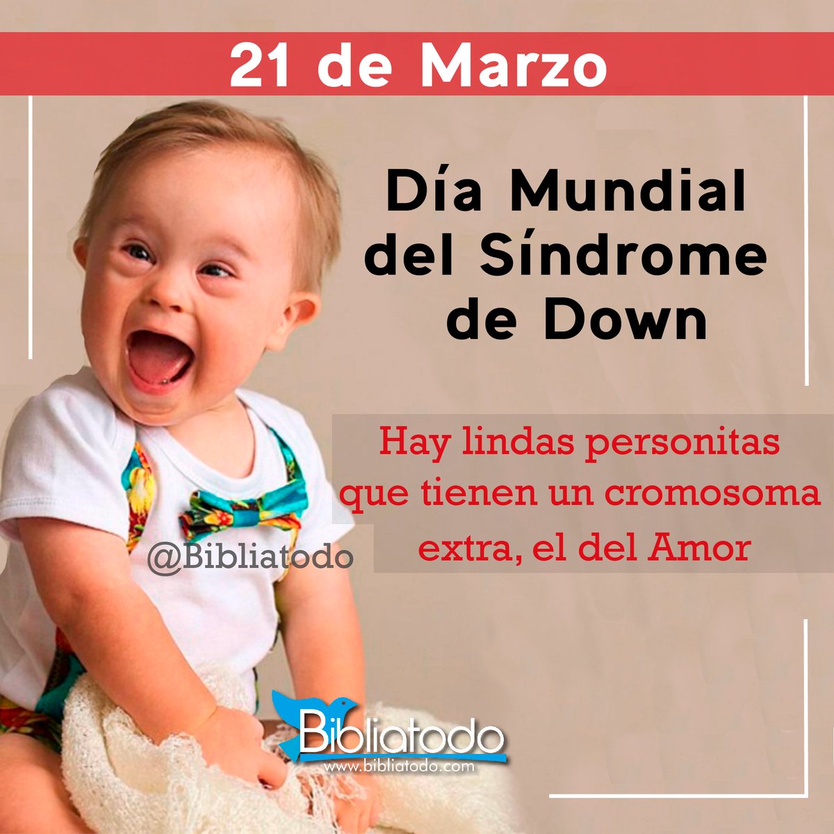 CinthyaLuciaBe1's tweet photo. No te rías de un niño inocente, el se reirá contigo, porque su inocencia sobrepasa tu prejuicio.
#21MarzoSíndromeDown #Ama https://t.co/s1S04a3dUz