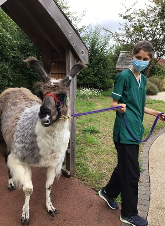 Our #Charity has some exciting ways in which you can show your support this year including the #Exeter 5K Inflatable which takes place on 22 April. Find out why Zoe, #OccupationalTherapy Assistant at Franklyn Hospital, is taking part in this fun challenge: orlo.uk/H0aBU