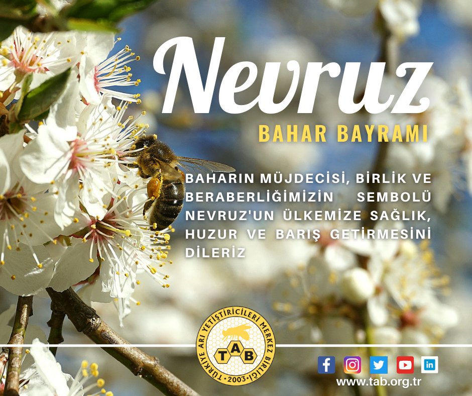 tabmerkez's tweet photo. https://t.co/kAEzC4AnN7