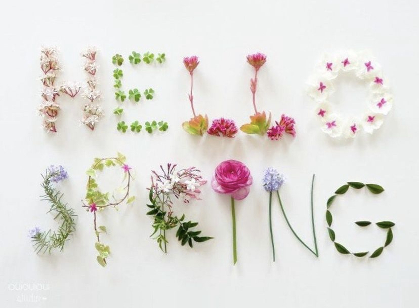 BSCfairfax's tweet photo. Happy Spring 2023! What will you be planting or starting to grow this season? Leave us a comment below.

#Spring2023 #Spring #AtHome #Caregiving https://t.co/LAZW9zVig7