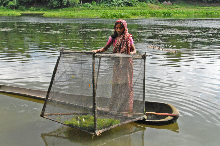 Is it safe to eat? Bangladesh fish exposed to hormones, antibiotics and toxic waste news.mongabay.com/2023/03/is-it-…