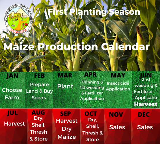 Maize Production Calendar