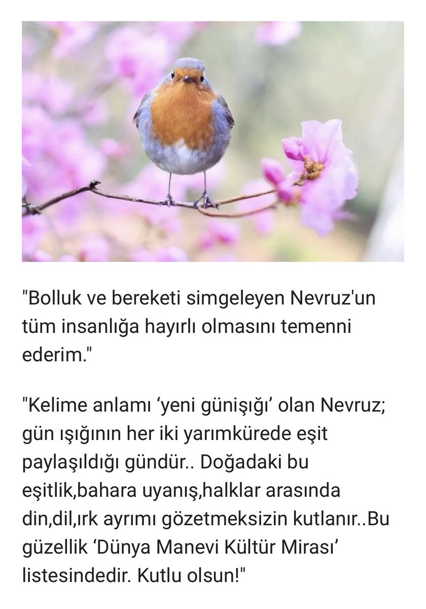 21 Mart 2023 Yılı Nevruz Bayramımız Kutlu Olsun 🇹🇷🧿