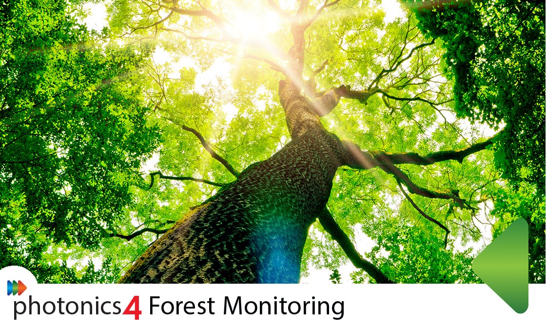 Forests play a crucial role in sustaining life on Earth. Today we highlight how photonics can help monitor forests more effectively. Read more: photonics4.com/photonics-for-…  
#photonics #photonicsEU #forest #monitoring #IntlForestDay #InternationalDayOfForests