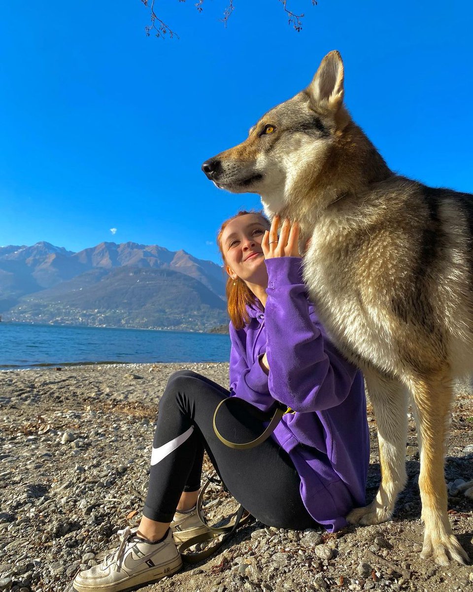 Wolf❤️❤️