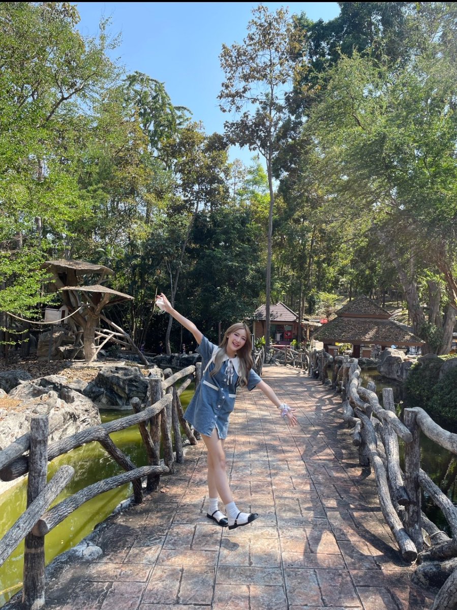 CactusPakwan's tweet photo. [Pakwan's iAM48 Post]

ถั่วเขียวอินเชียงใหม่

#PakwanBNK48 #Pakwan_eRa #BNK48 #กระบองเพชรของพาขวัญ

https://t.co/LRH9760v0F https://t.co/57UkcsMlg3