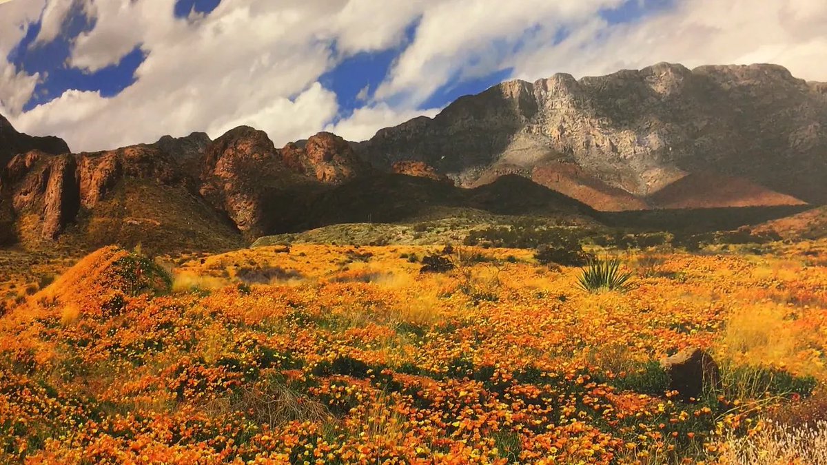Beto O'Rourke tweet media