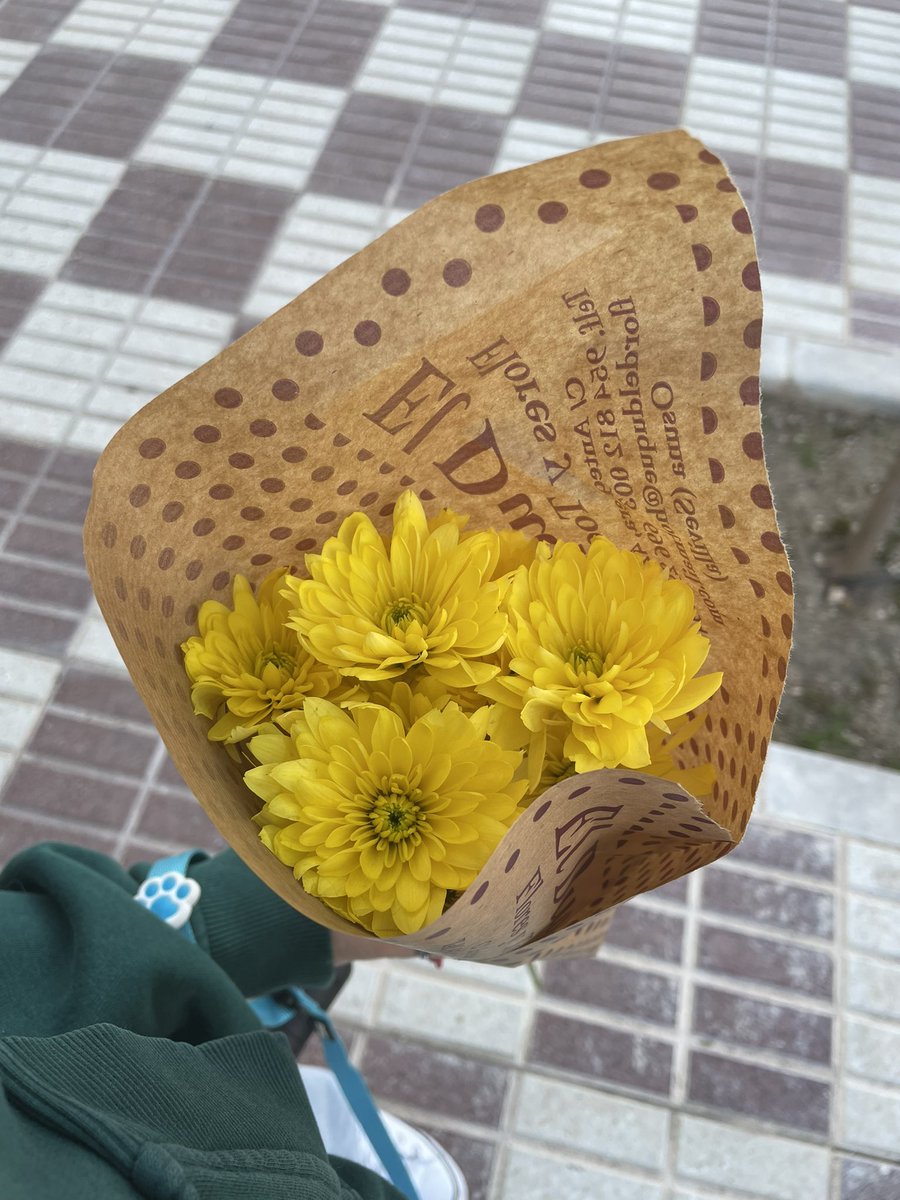 felizz día de la primavera con mis flores amarillas 💗🌼🌷🍃🦋🐝