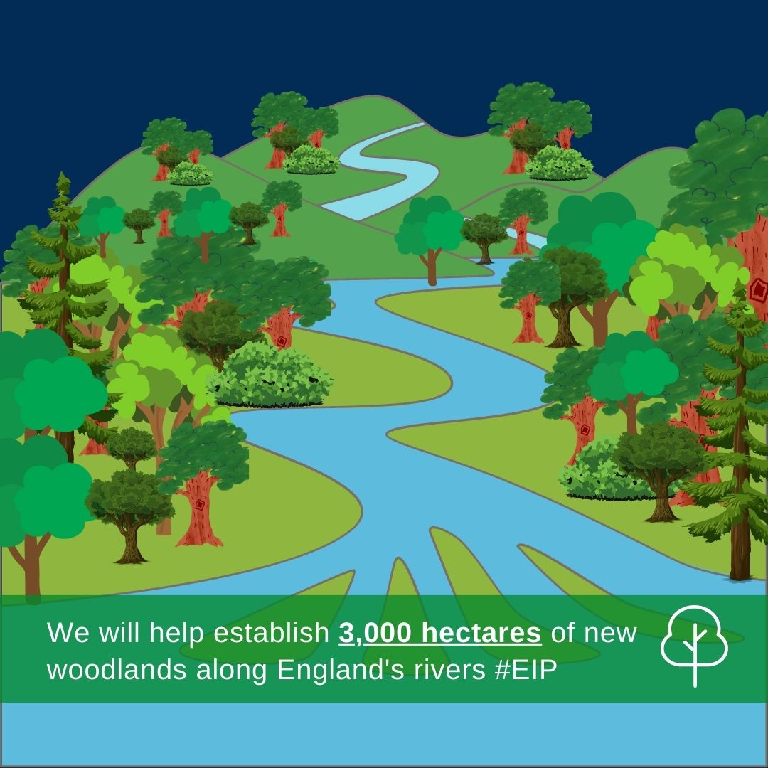 TVFloodScheme's tweet photo. The #TVFloodScheme will help deliver some of our organisational priorities outlined in our #EnvironmentImprovementPlan - In it, we detail how we will work across organisations to reduce pollution, achieve nature recovery and increase water efficiency 🚿🐸⬇️ #WorldWaterDay #EIP https://t.co/uwPVEAoOU7