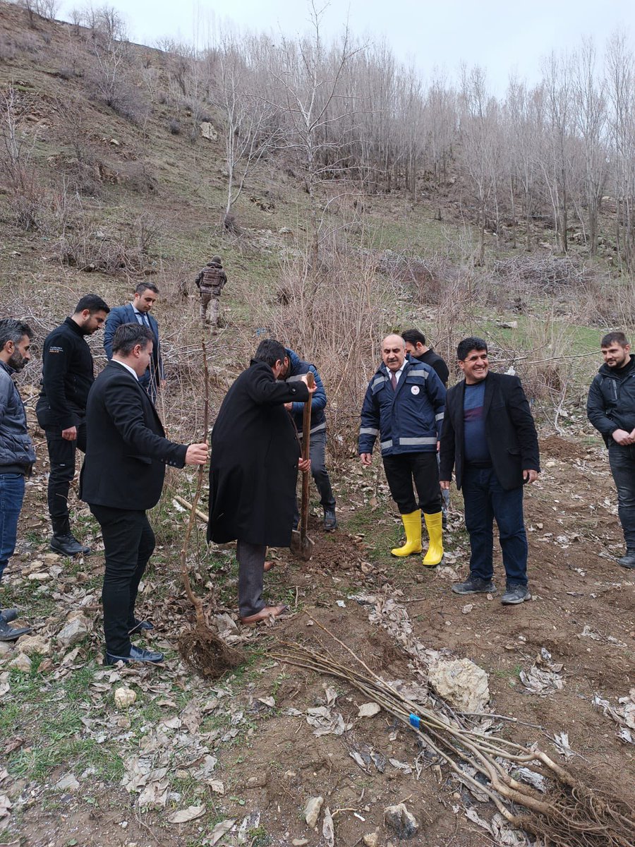 Ceviz Şehri Van Projesi çerçevesinde, Çatak İlçemizde 286 üreticimizin yaklaşık 600 dönüm alanına denk gelen %90 hibe ile sertifikalı 19.250 adet  Fernor ve Fernette ceviz fidanı üreticilerimize dağıtılarak fidanlar toprakla buluşturuldu.
<a href="/VahitKirisci/">Prof.Dr.Vahit Kirişci</a> <a href="/tcvanvaliligi/">T.C. Van Valiliği 🇹🇷</a> <a href="/igorentas/">İbrahim Görentaş</a>