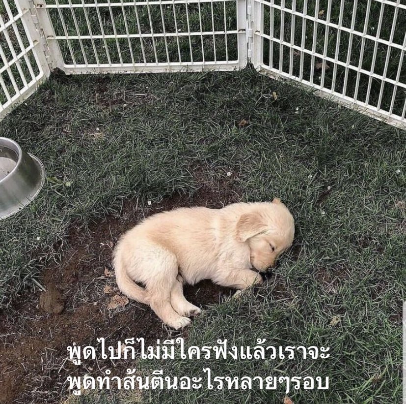 ตลกร้าย