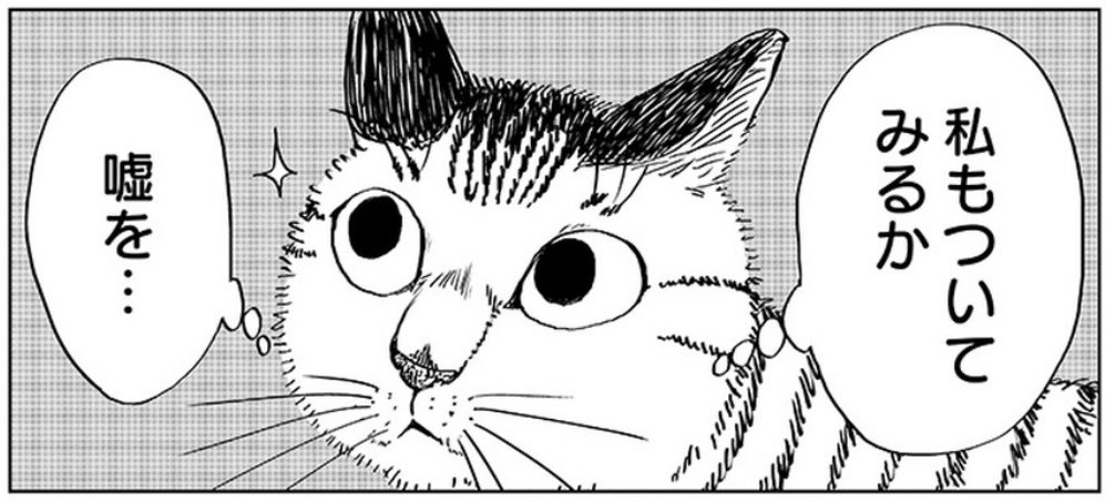 最新話更新されてます!よろしくお願いします。
#苦悩化け猫おはし 